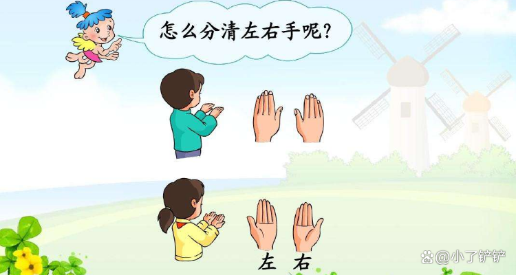 区别左右动画视频 区分左右的动物图片 