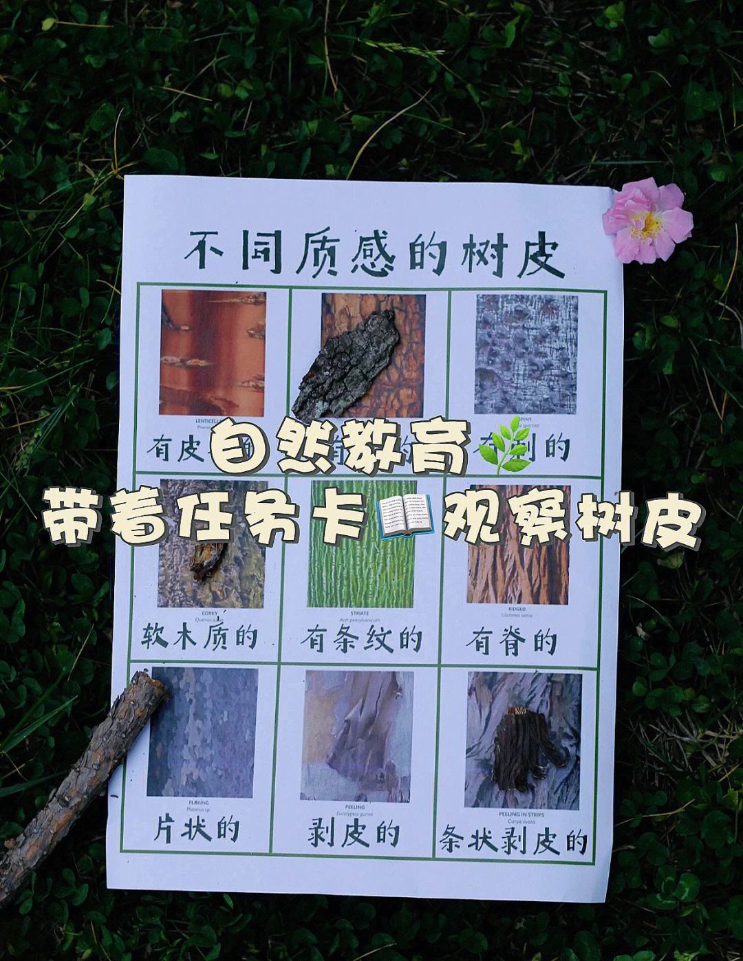 仔细详细的区别 详细和仔细的用法 