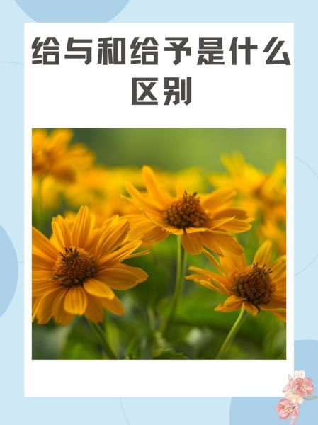 与的区别 与的区别是什么 