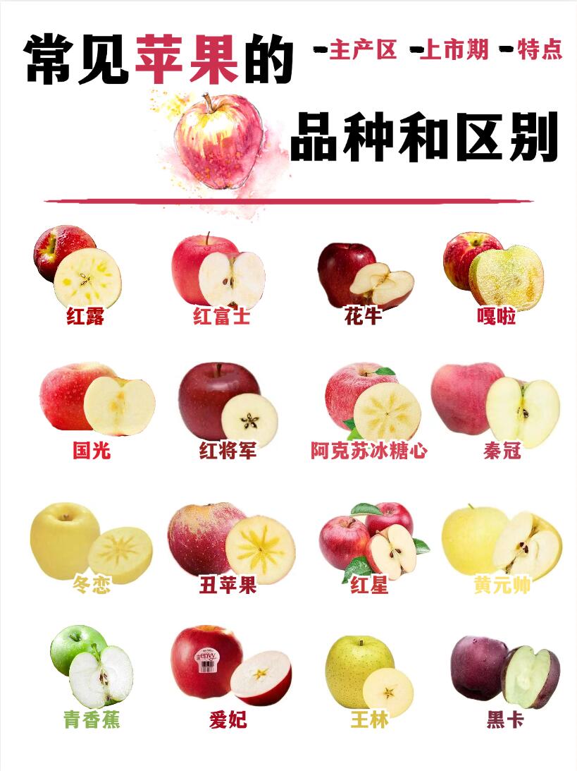 苹果八有什么区别 iphone 8和 