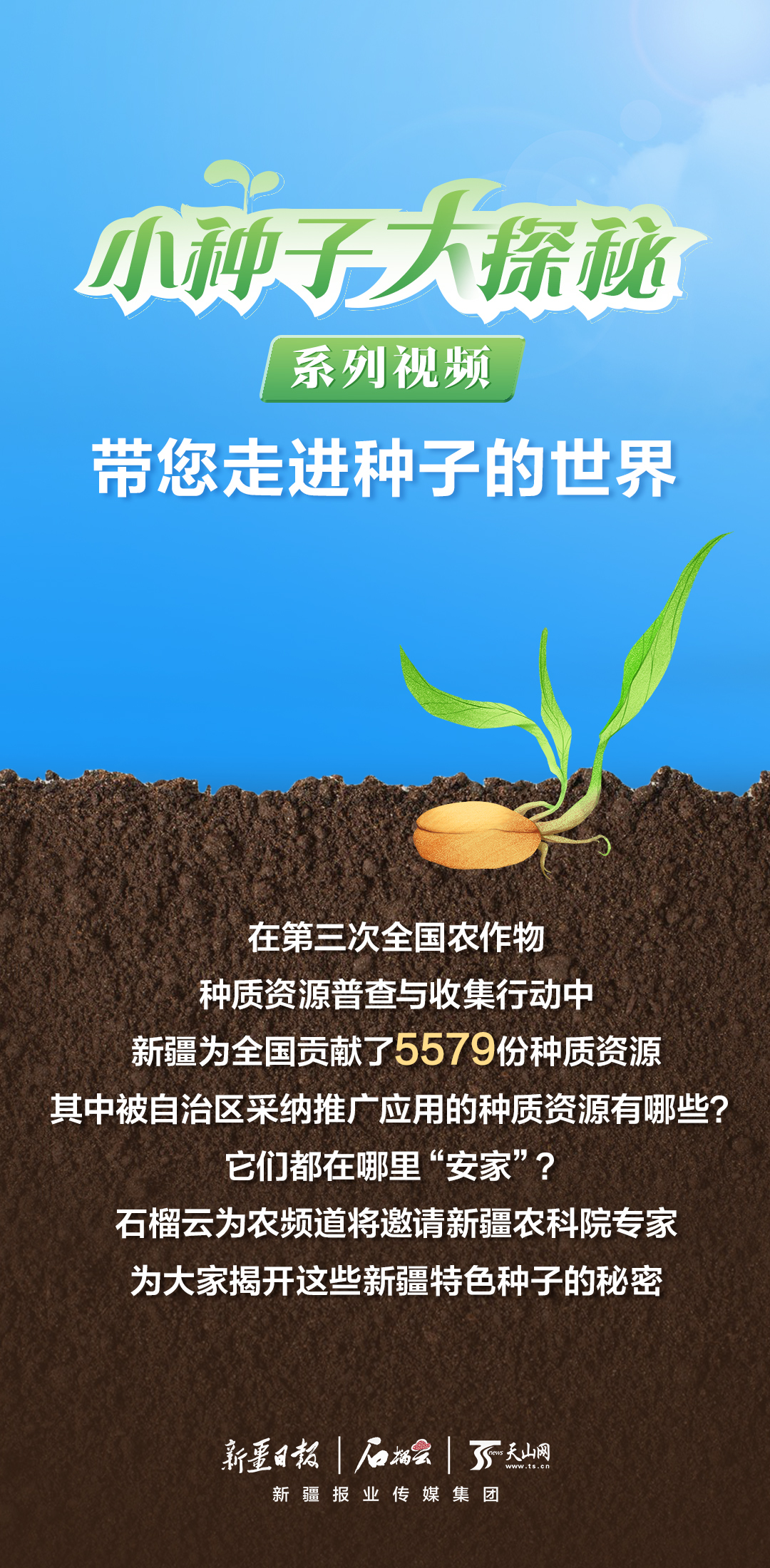 种子和视频的区别 种子和视频的区别是什么 
